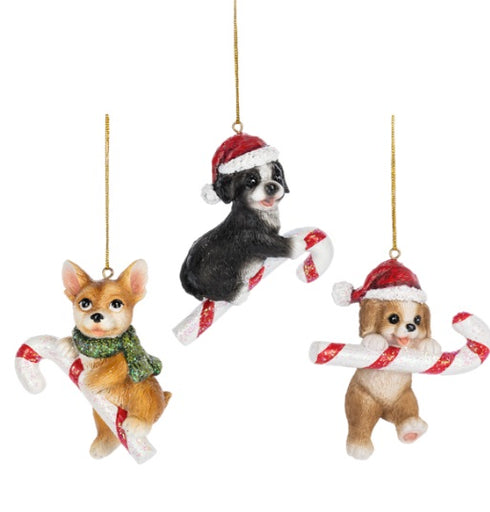 CANDY CANE DOG ORNAMENT
