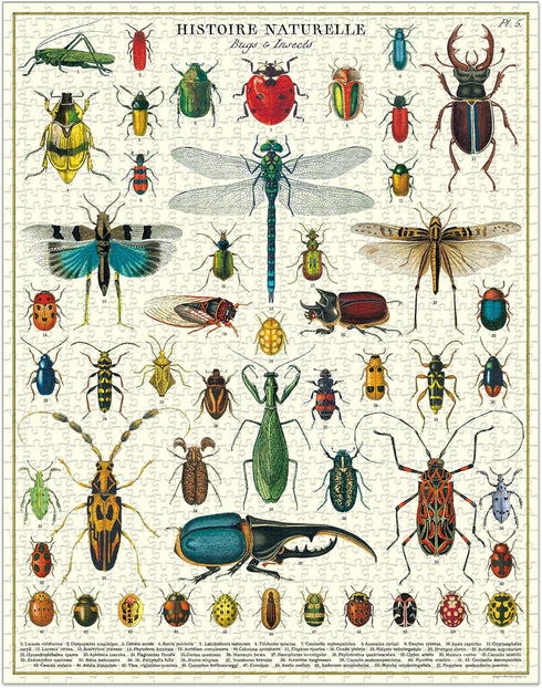 BUGS AND INSECTS 1000 PUZZLE