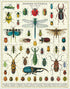 BUGS AND INSECTS 1000 PUZZLE