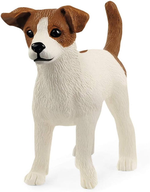 JACK RUSSELL TERRIER