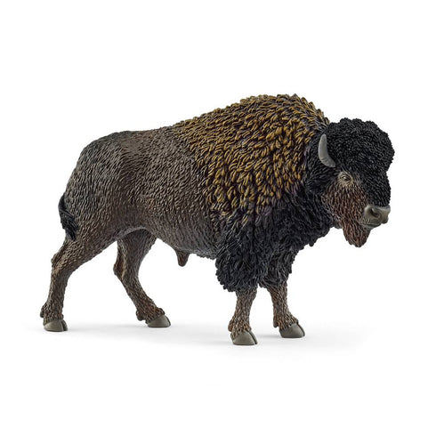 BISON