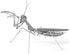 PRAYING MANTIS METAL EARTH