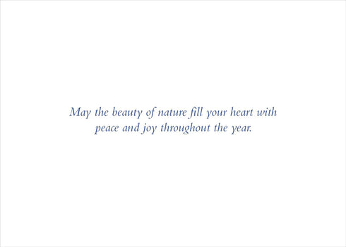 XMAS CARDS HORSES WINTER