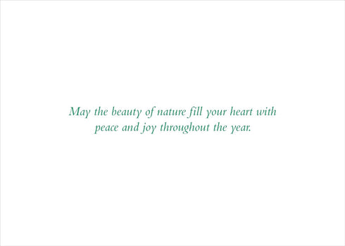 XMAS CARDS MOONLIT FOREST FRIE