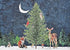 XMAS CARDS MOONLIT FOREST FRIE