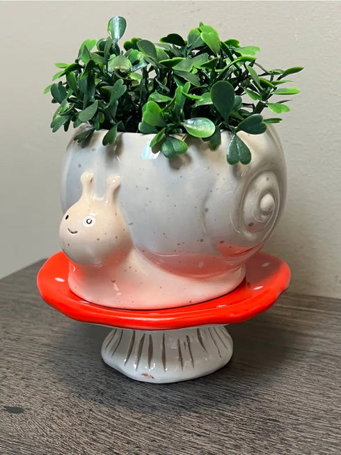 SNAIL MUSHROOM PLANTER