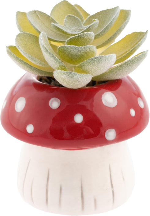 SUCCULENT POT MUSHROOM