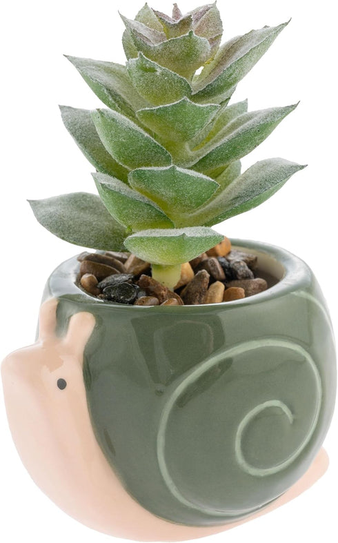 SUCCULENT POT SNAIL