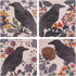 COASTER SET CROW