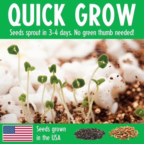 GROW GLOW DINO TERRARIUM