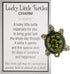 LUCKY LITTLE TURTLE CHARM
