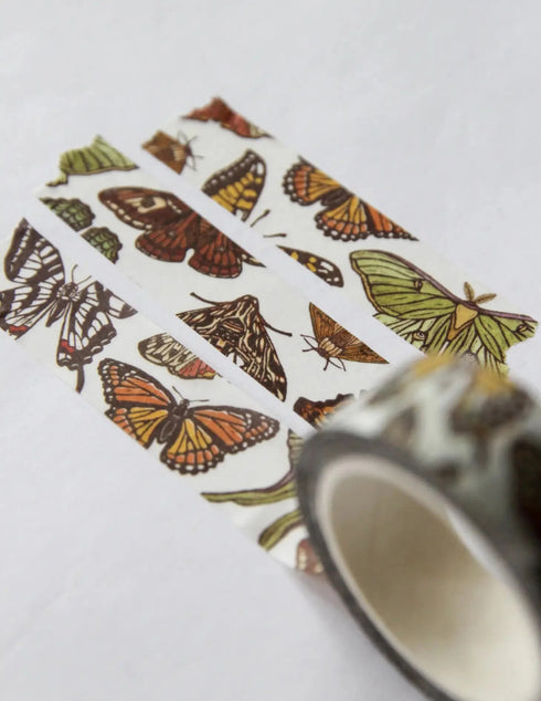 Washi Tape Butterfly Moth