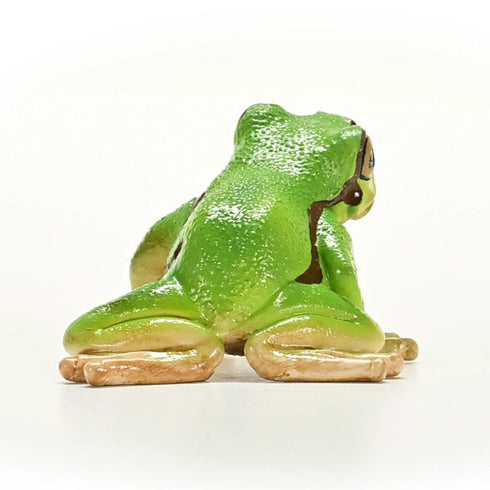 EUROPEAN GREEN TREE FROG