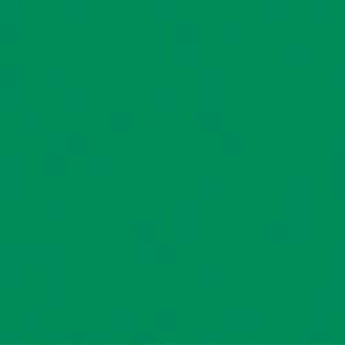 Rainbow Classic Felt 9"X12" Pirate Green Arts & Crafts 150164