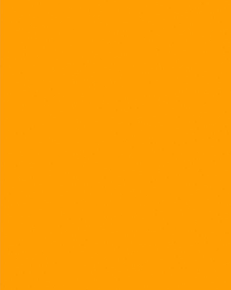 HOT ORANGE POSTER BOARD 152199