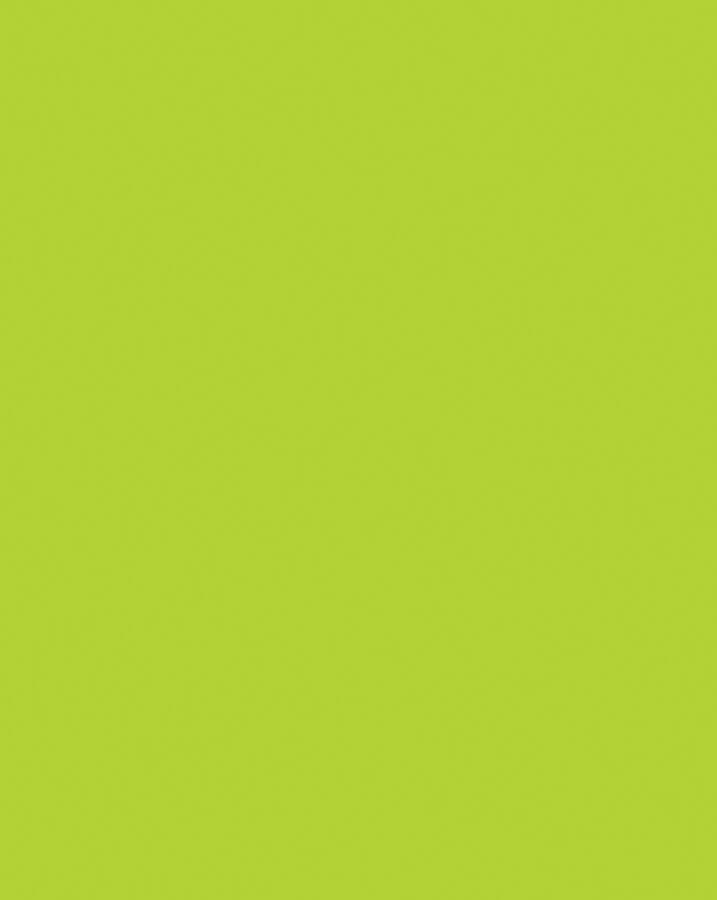 HOT LIME POSTER BOARD 152291