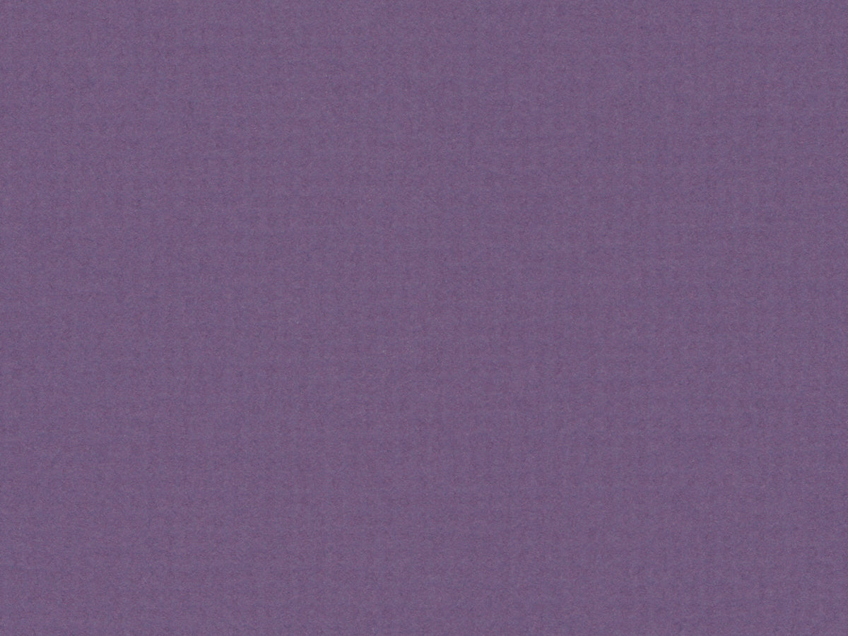C1076 Las Purple 32X40 Mat 161482