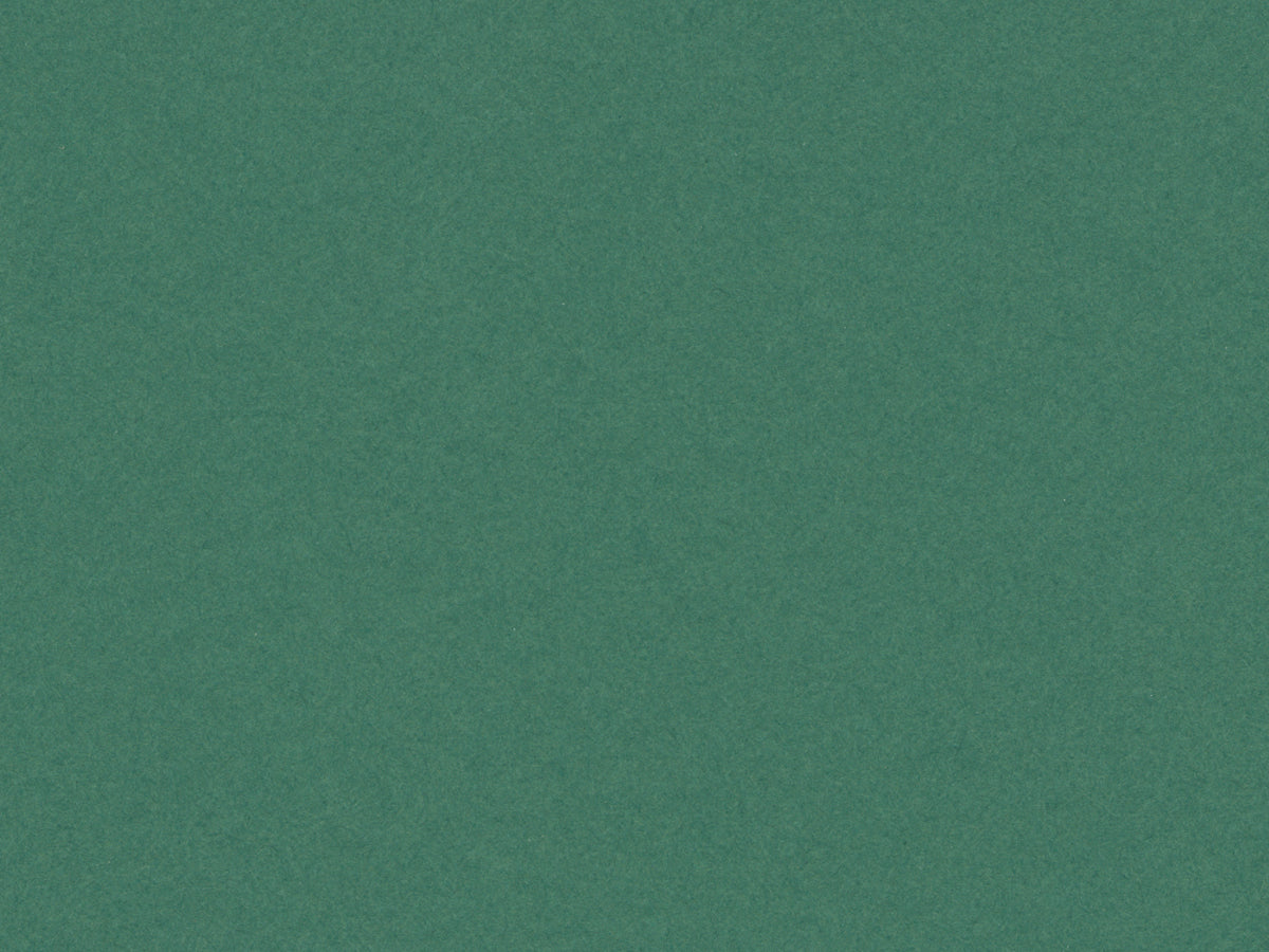 C919 Ivy Green 32X40 Mat 161579