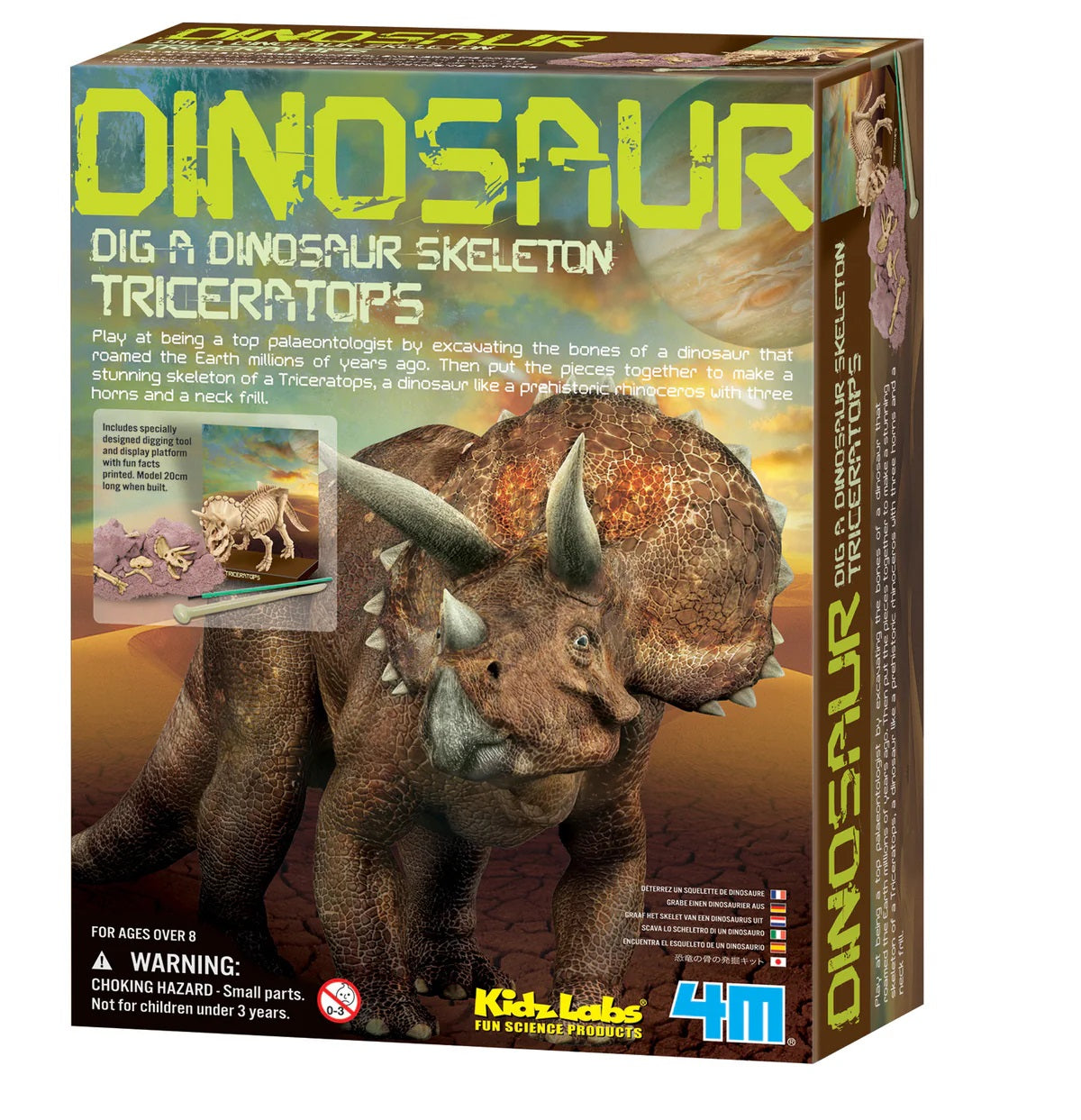 Dig A Dino 163522