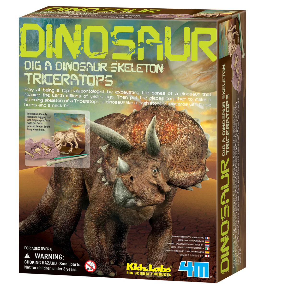 Dig A Dino 163522