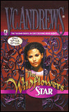 Wildflowers Star 273875