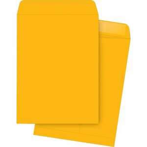 10X13 Catalog Envelopes (Box) 475-715