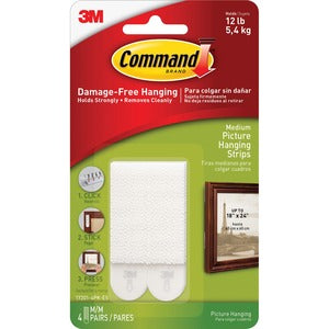 Strip,Hangng,Picture,Med,We 484-739