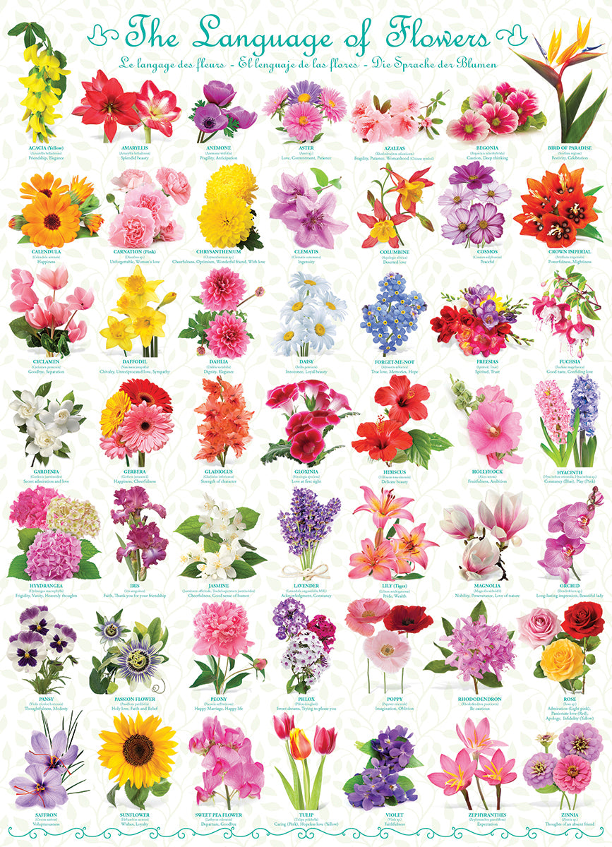 The Language Of Flowers Puzzle 6000-0579_15f02a16-9137-44aa-9030-a4eebd58d124