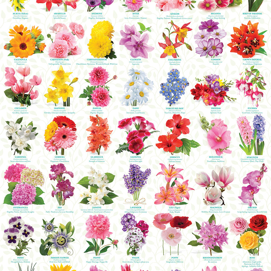 The Language Of Flowers Puzzle 6000-0579_15f02a16-9137-44aa-9030-a4eebd58d124