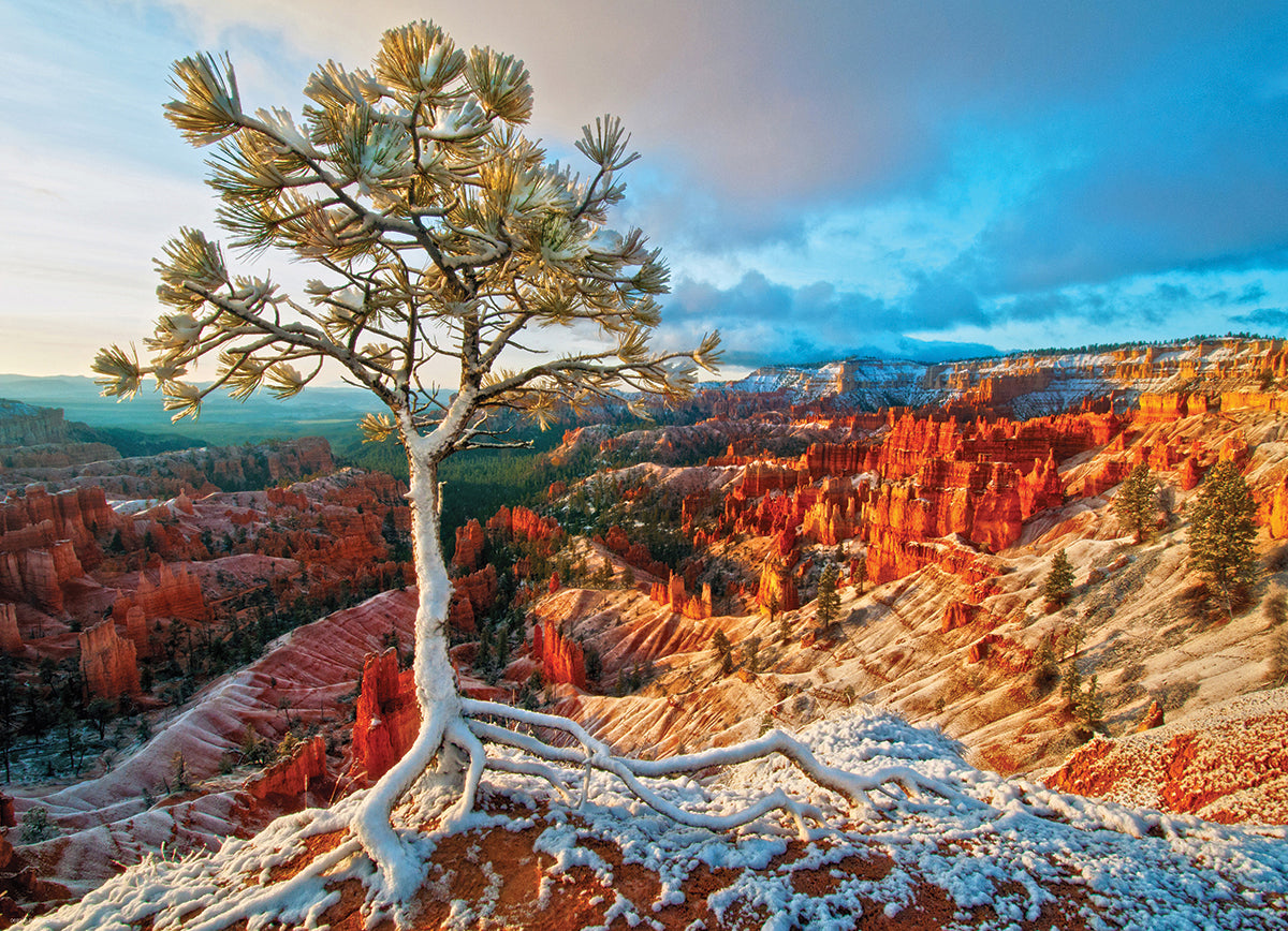 Eurographics Winter Sunrise 1000 Piece Puzzle 6000-0692