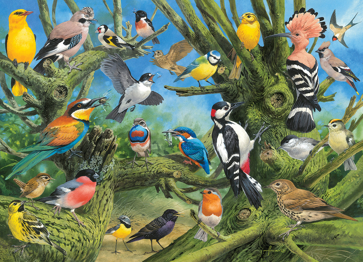 Eurographics Garden Birds 1000 Piece Jigsaw Puzzle - Francis. John 20 6000-0967