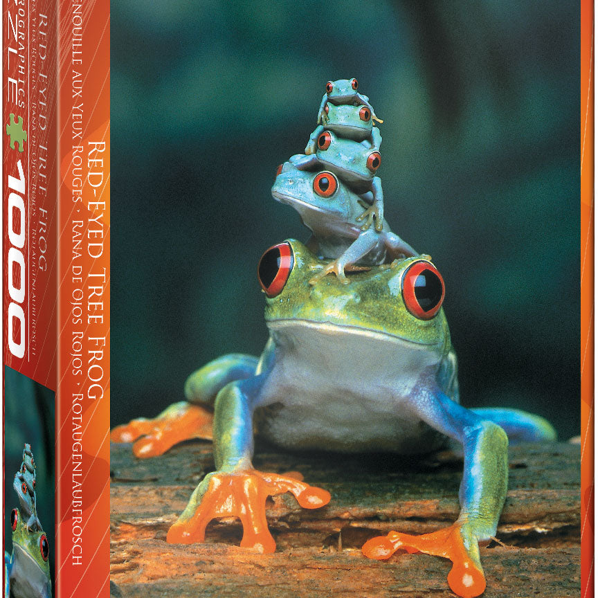 Red Eyed Tree Frog 1000 Piece Puzzle 6000-3004_f922f7c1-d6f3-4bd1-9690-d9d7461d7667