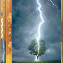 Lighting Striking Tree 6000-4570_745fe10e-1975-4ac1-adec-2dc0740a7a8a