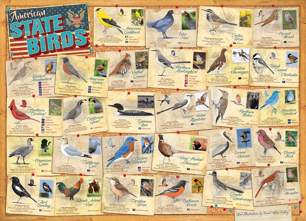 State Birds Puzzle 1000 Pcs 6000-5327_ec00e7a3-e982-476c-b6b3-2180db49d73d