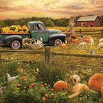 Harvest Time 1000 Piece Jigsaw Puzzle 625012400251