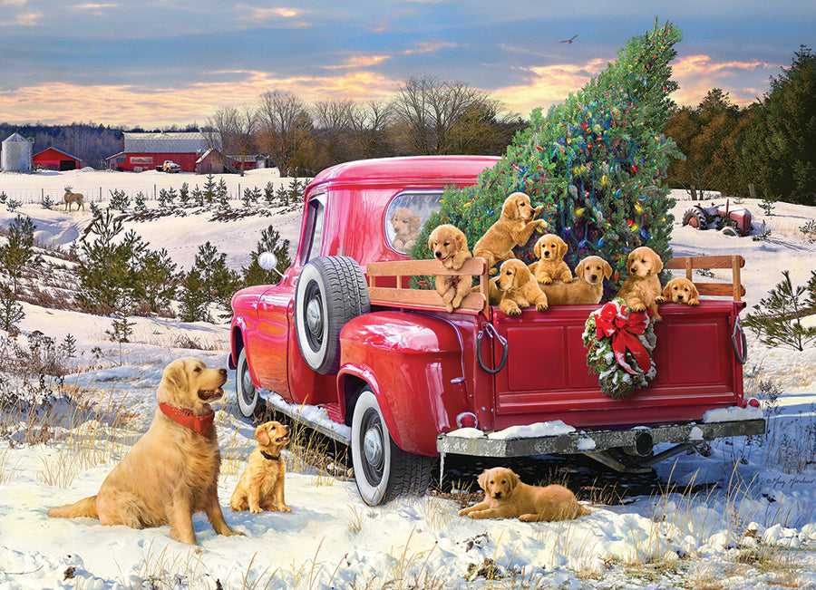 Family Outing 1000 Piece Puzzl 625012400299