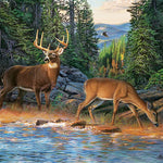 River's Edge 1000 Piece Puzzle 625012400336