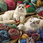 Ragdolls 1000 Pc Puzzle 625012401418