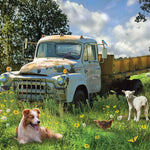 Sheep Field 1000 Pc Puzzle 625012401531