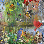 Birds Of The Season 1000 Pc 625012401630