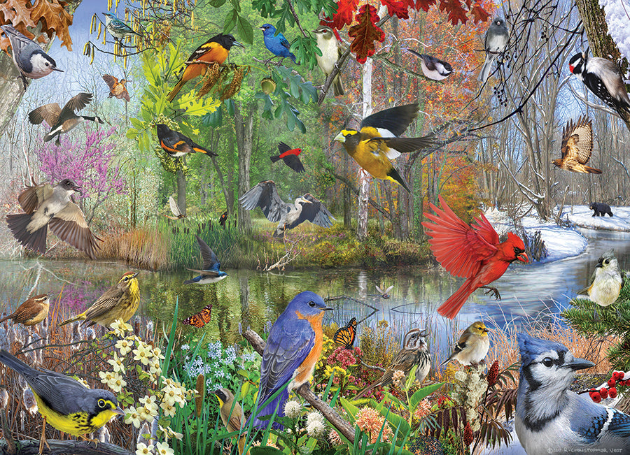 Birds Of The Season 1000 Pc 625012401630