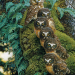 Family Tree 1000 Pc Puzzle 625012401708