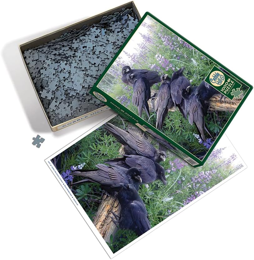 Raven Rendezvous 1000 Pc Puzzl 625012401715_1