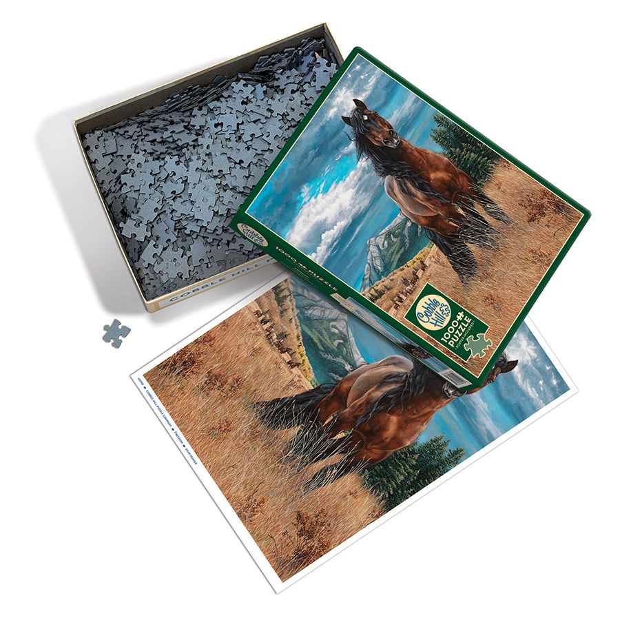 Freedom 1000 Piece Puzzle 625012401906_2