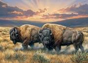 Dusty Plains 1000 Pc Puzzle 625012401920