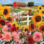 Sunflower Farm 1000 Pc Puzzle 625012402088