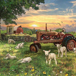 Field At Sunrise 1000 Pc Puzzl 625012402682