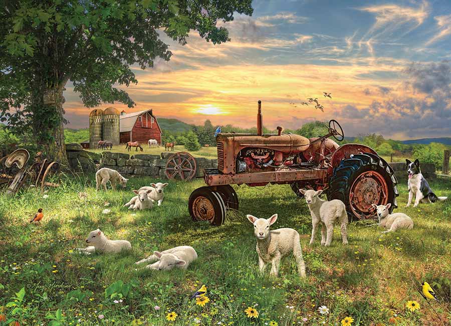 Field At Sunrise 1000 Pc Puzzl 625012402682