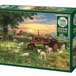 Field At Sunrise 1000 Pc Puzzl 625012402682_1