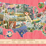 State Flowers Of America 1000 625012403153